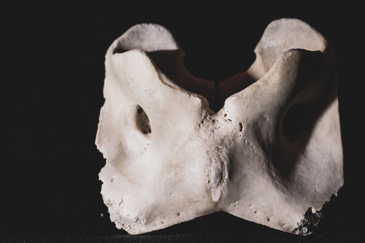 Essential minerals for bone health